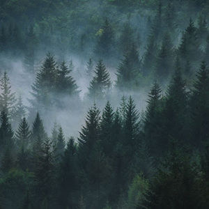 Meet your Posher, Claire